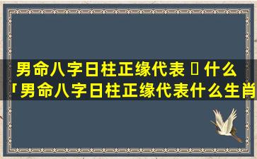 男命八字日柱正缘代表 ☘ 什么「男命八字日柱正缘代表什么生肖」